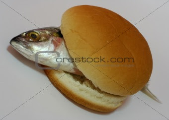 Fish Image